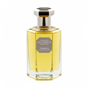 EAU DE TOIL. 100 ML SPRAY THESEUS - Image 1