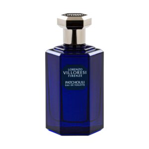 EAU DE TOIL. 100 ML SPRAY PATCHOULI